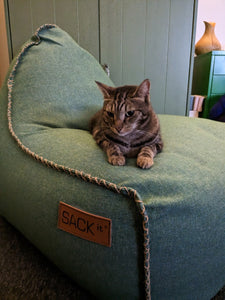 Cozy Bean Bean Bag Chair: The Most Sought-After Seat in the House